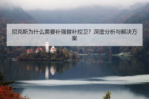 尼克斯为什么需要补强替补控卫？深度分析与解决方案