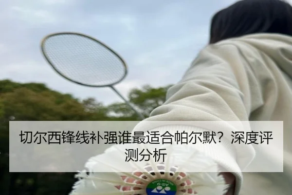 切尔西锋线补强谁最适合帕尔默？深度评测分析