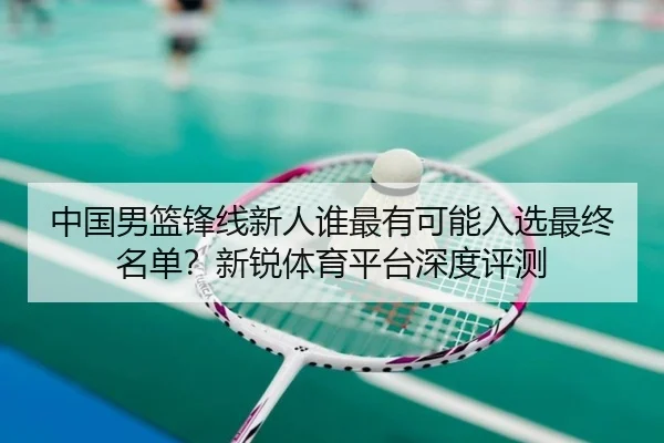 中国男篮锋线新人谁最有可能入选最终名单？新锐体育平台深度评测